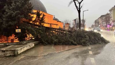 Edirne’de akşam saatlerinde etkili olan şiddetli sağanak ve fırtınada çok