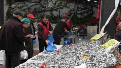 Edirne’de sezon başında 400 liradan satılan hamsinin kilosu 50 liraya