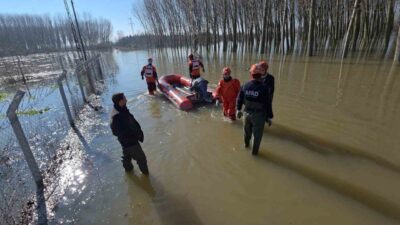 Edirne merkeze bağlı Bosna köyünde su taşkını sonrası koyunlar botlarla