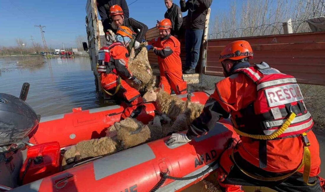 Edirne’de Meriç ve Tunca nehirlerindeki su seviyesinin artmasıyla birlikte özellikle