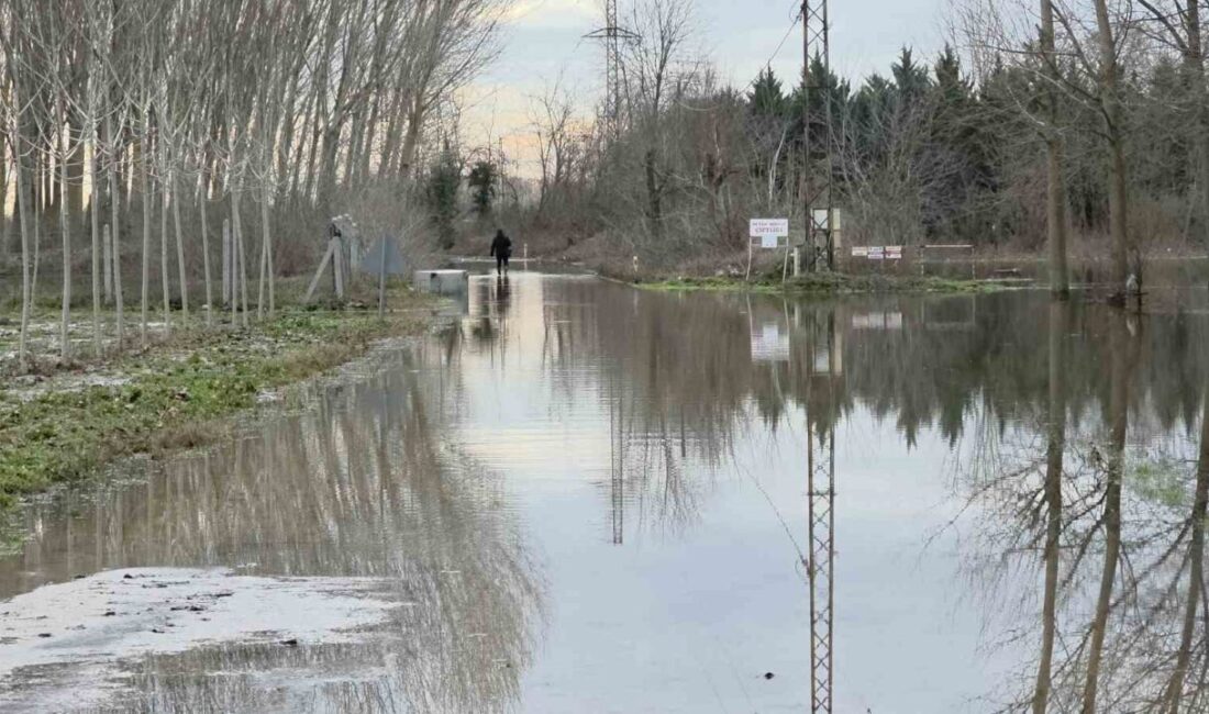 Edirne’de Tunca ve Meriç nehirlerinde dün başlayan su debisindeki düşüş
