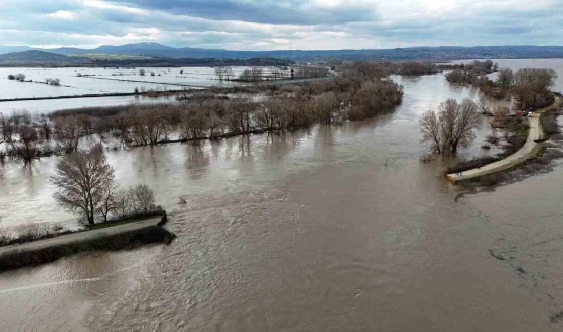 Edirne’nin Meriç ilçesine bağlı Subaşı beldesinde yaşanan taşkın tarım arazilerinde