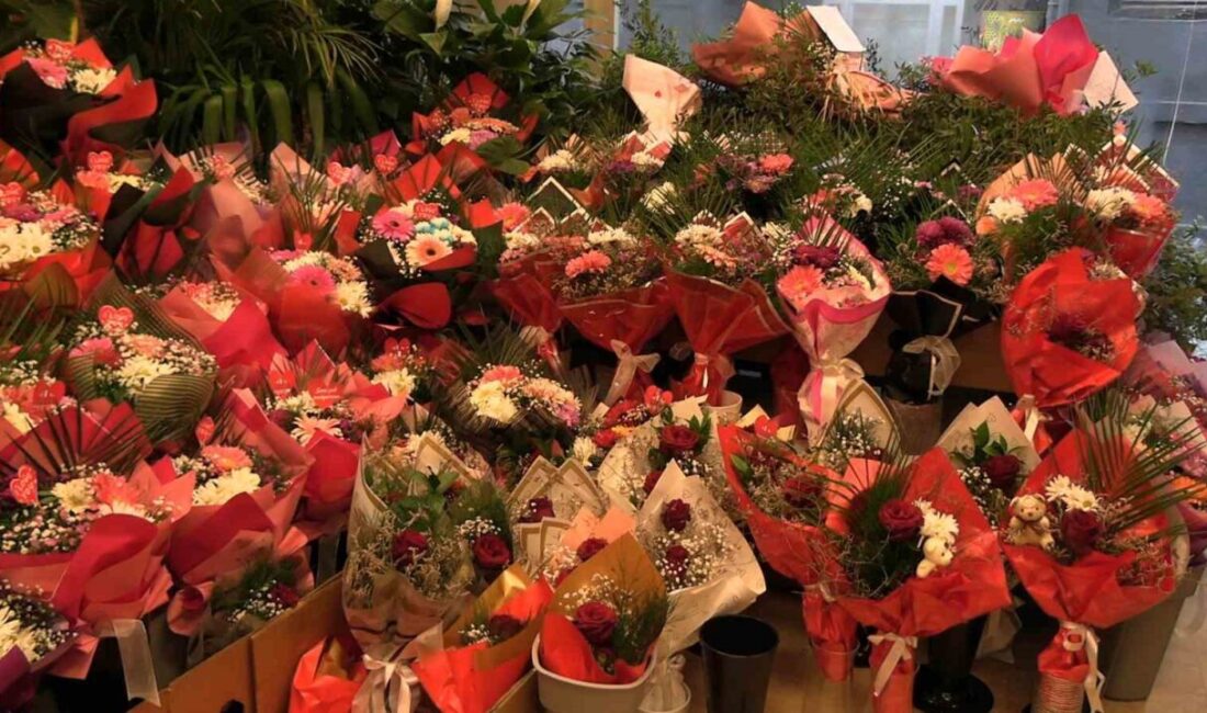 Edirne’de 14 Şubat Sevgililer Günü dolayısıyla çiçekçilerde yoğunluk yaşanıyor. Sevgililer