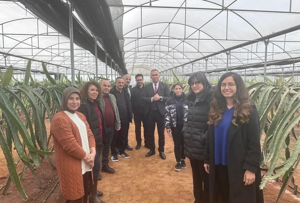 Aydın’ın Efeler ilçesinde Aile Çiftçiliğinin Geliştirilmesi Projesi kapsamında hazırlanan “Efeler’de