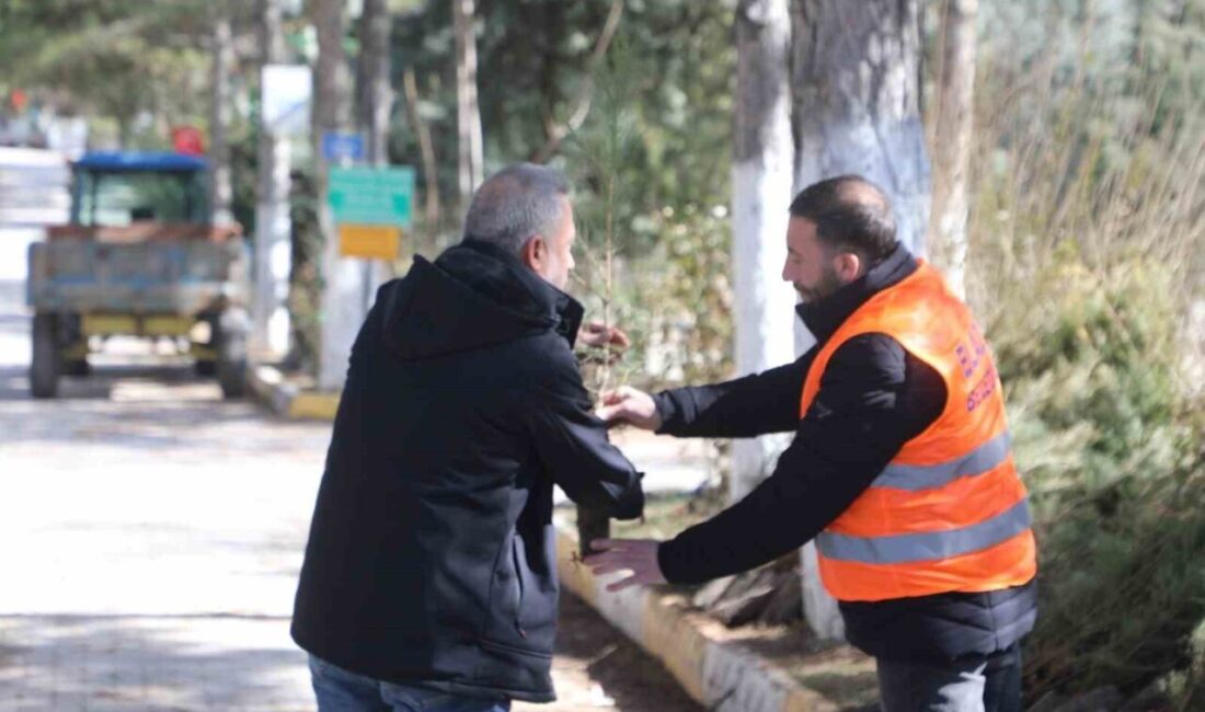 Elazığ Belediyesi, şehrin yeşil dokusunu güçlendirmek amacıyla Asri Mezarlık girişinde