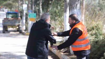 Elazığ Belediyesi, şehrin yeşil dokusunu güçlendirmek amacıyla Asri Mezarlık girişinde