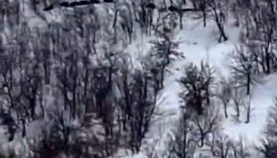 Elazığ’da kar üstünde koşan domuz sürüsünü görüntüleyen şahıs, ‘ordu geliyor’