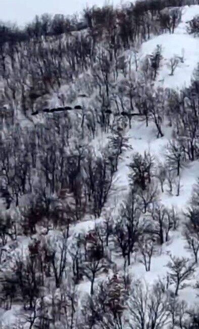 Elazığ’da kar üstünde koşan domuz sürüsünü görüntüleyen şahıs, ‘ordu geliyor’