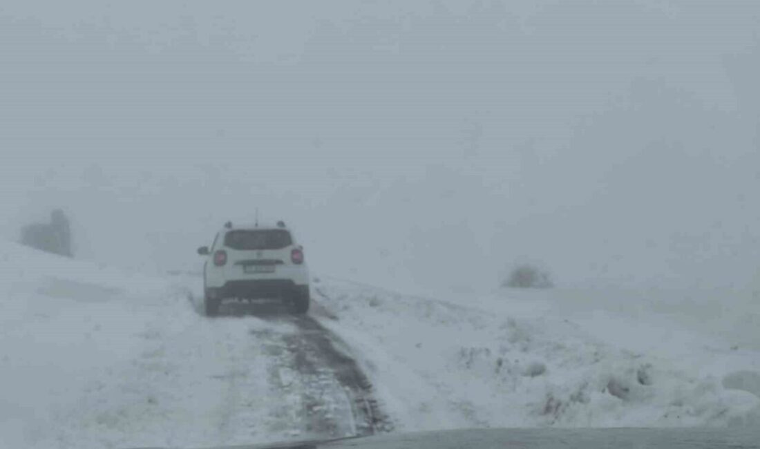 Elazığ’ın Sivrice ilçesinde etkili olan kar yağışı sonrasında yolda kalan