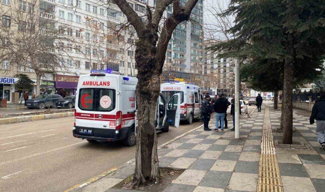 Elazığ’da trafikte tartışan kişiler arasında çıkan yumruklu kavgada 2 kişi