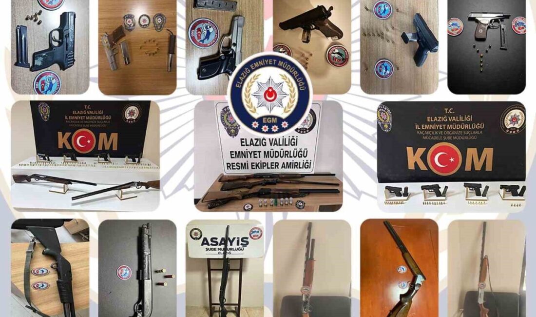 Elazığ’da emniyet ekipleri tarafından son bir ay içerisinde gerçekleştirilen denetim