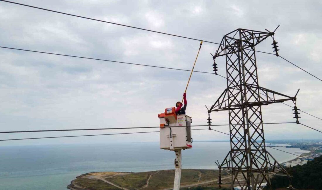 Samsun merkezli elektrik dağıtım şirketi 2026–2030 dönemini kapsayan yatırım ve