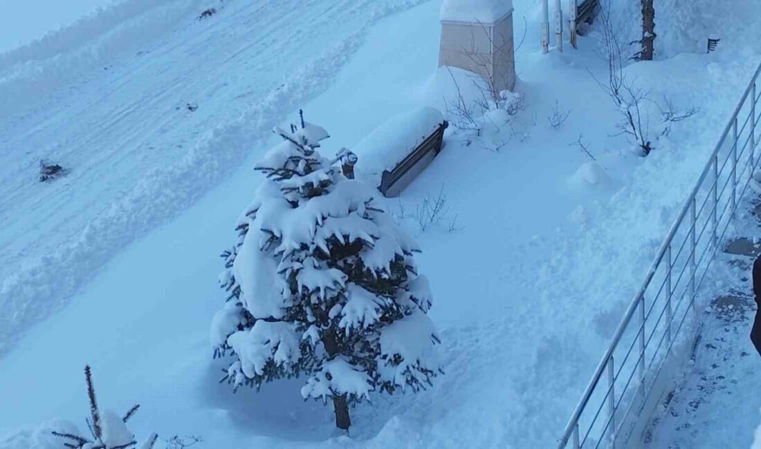 Van’ın Erciş ilçesinde kar yağışı etkili oldu. Meteoroloji Genel Müdürlüğü’nün