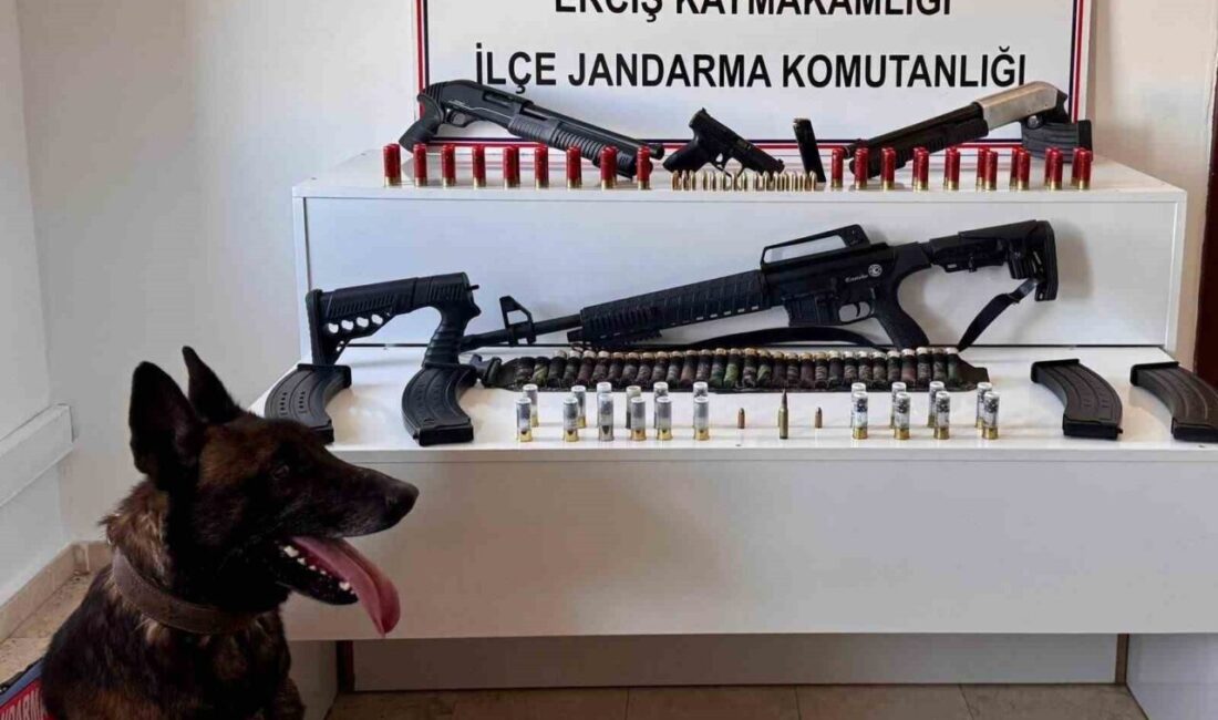 Van’ın Erciş ilçesinde jandarma ekiplerince düzenlenen operasyonda çok sayıda silah