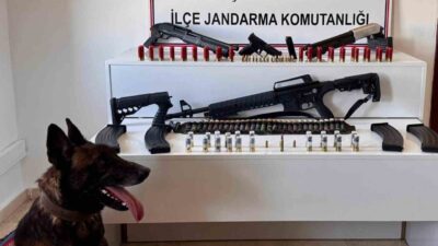 Van’ın Erciş ilçesinde jandarma ekiplerince düzenlenen operasyonda çok sayıda silah