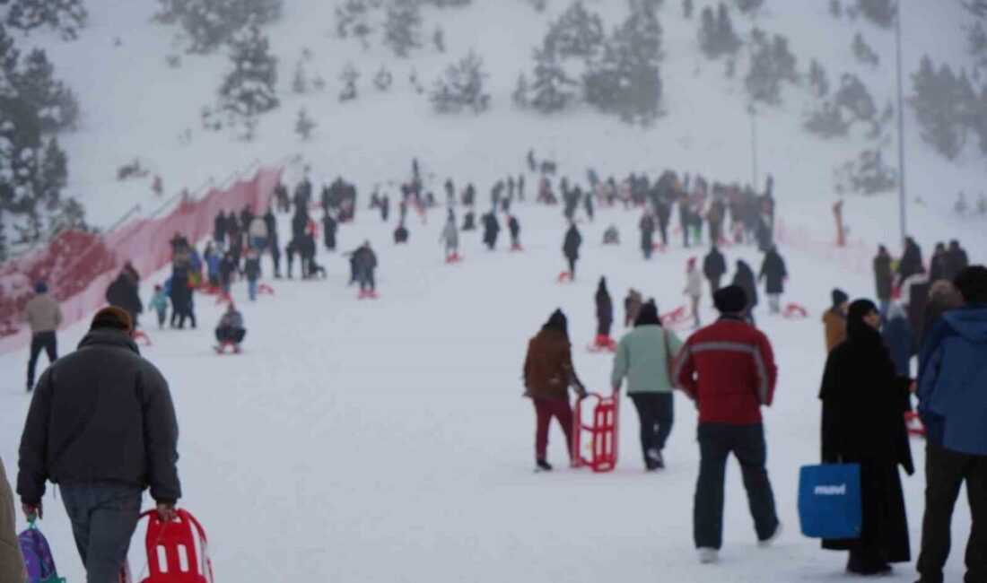 Türkiye’nin önemli kış turizm merkezleri arasında yer alan Ergan Kayak