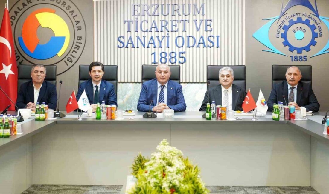 Türkiye Odalar ve Borsalar Birliği (TOBB) Yönetim Kurulu Üyesi ve