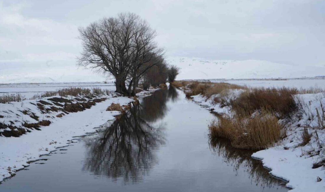 Erzurum’da bir yandan sıcaklık artarken bir yandan da kar yağışı