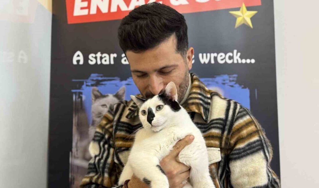 Mardin Büyükşehir Belediyesi’nde görev yapan Ali Çakas, 6 Şubat 2023’te