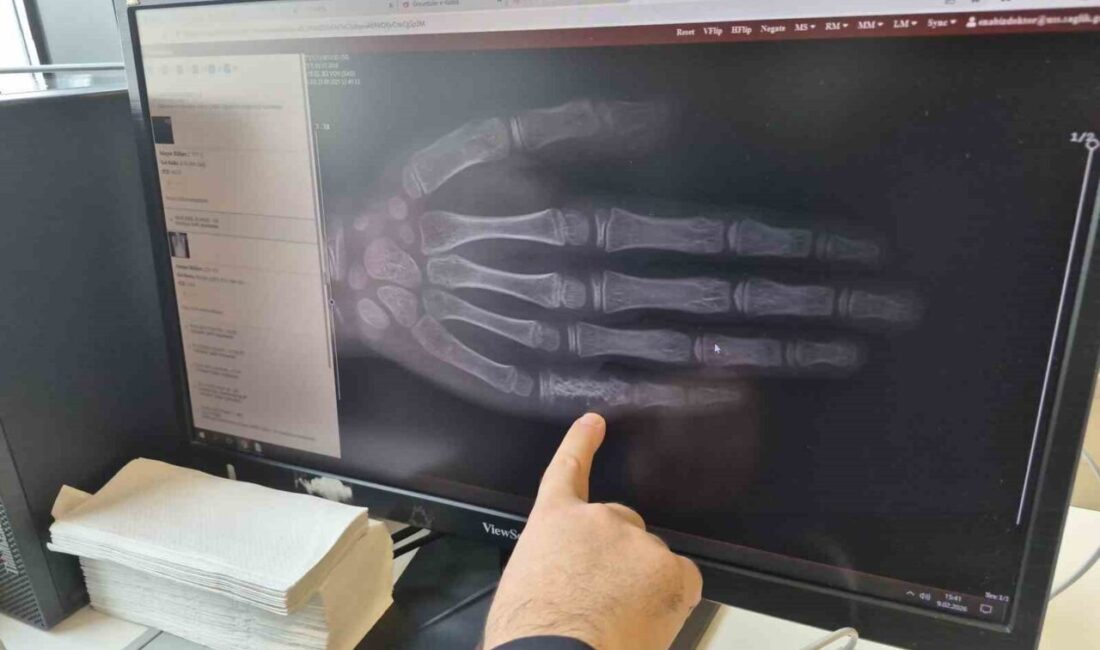 Eskişehir Şehir Hastanesi Çocuk Hematoloji ve Onkoloji alanında görevli Doç.