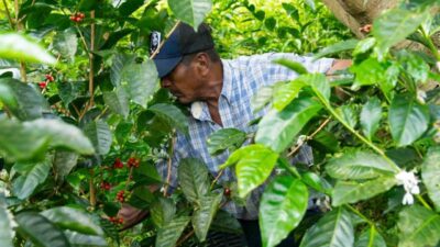 Espressolab, kahve üretiminde şeffaflık ve sürdürülebilirlik konusunda önemli bir adım