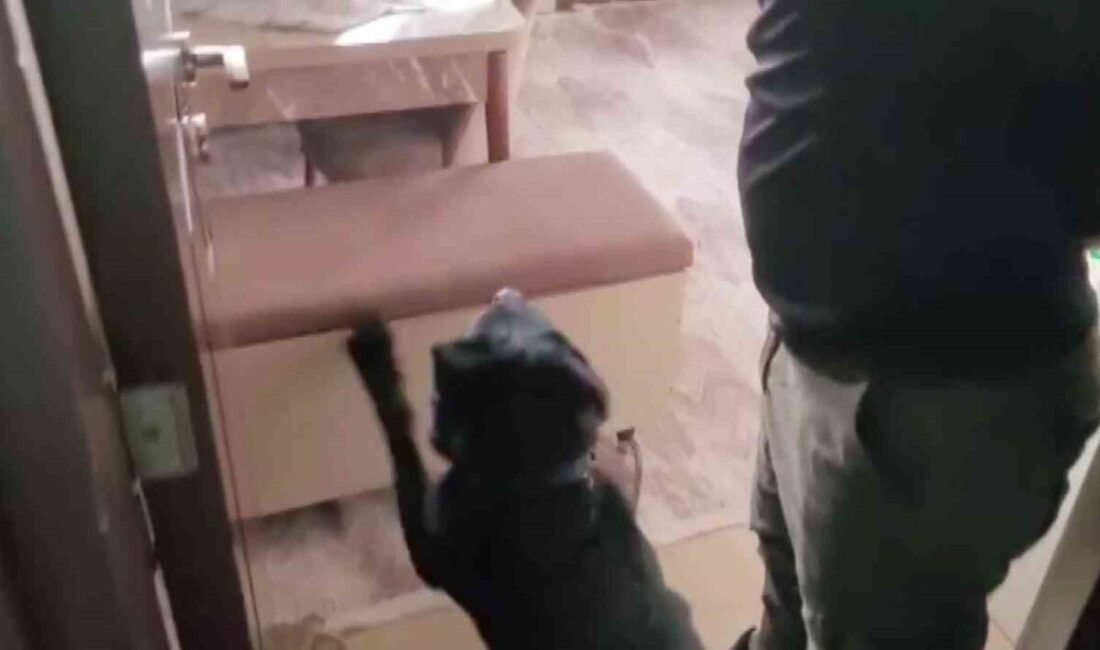 Adana’da bir evin mutfağındaki sandıkta 814 gram eroin yakalatan şüpheli,