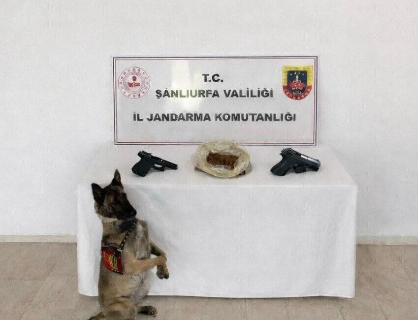 Şanlıurfa’da jandarma ekiplerince düzenlenen narkotik operasyonunda sentetik uyuşturucu ve silah