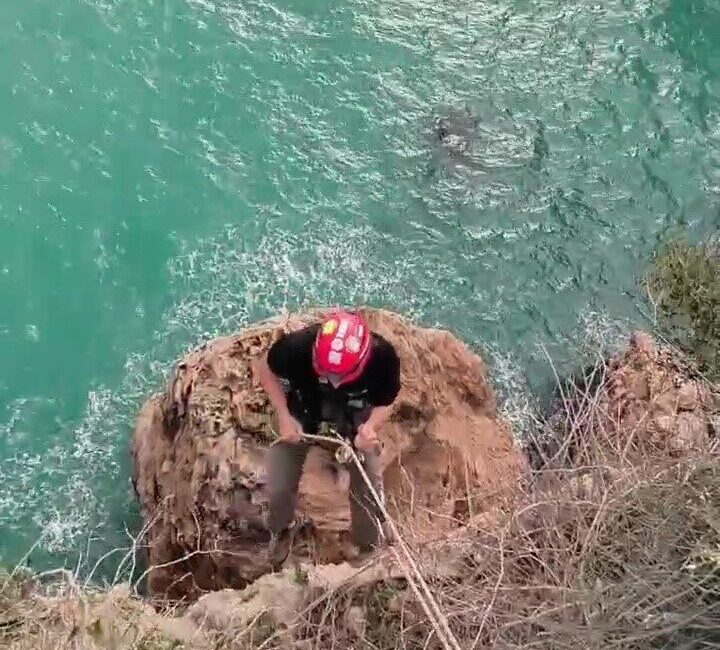 Antalya’da 30 metrelik falezlerde mahsur kalan kedi vatandaşların ihbarı ile