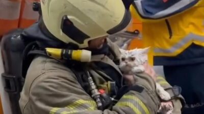 Fatih’te ahşap binada başlayan yangın, yanında bulunan başka bir ahşap