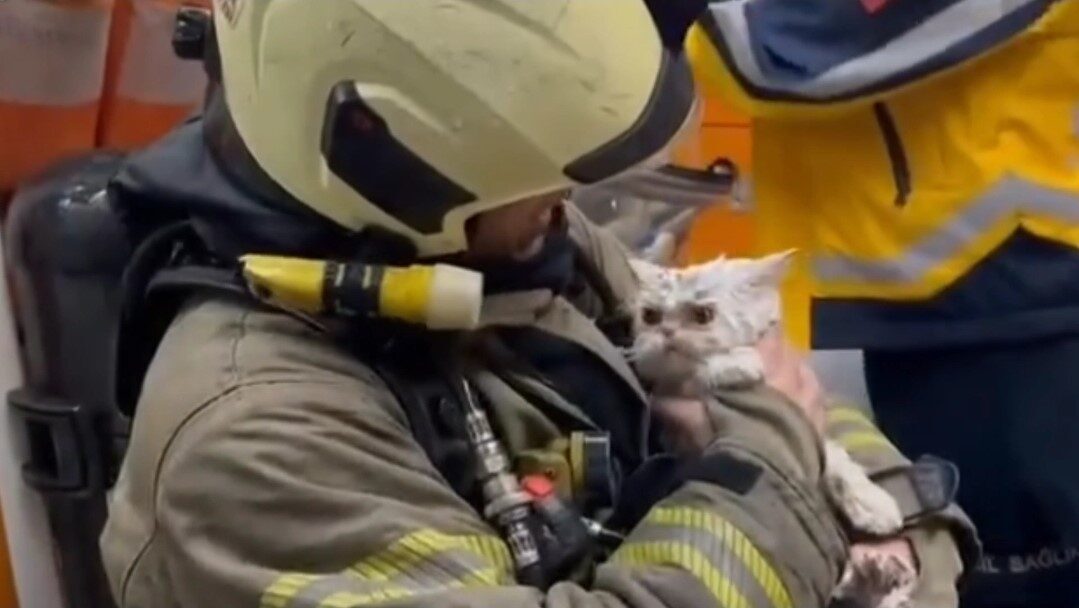 Fatih’te ahşap binada başlayan yangın, yanında bulunan başka bir ahşap