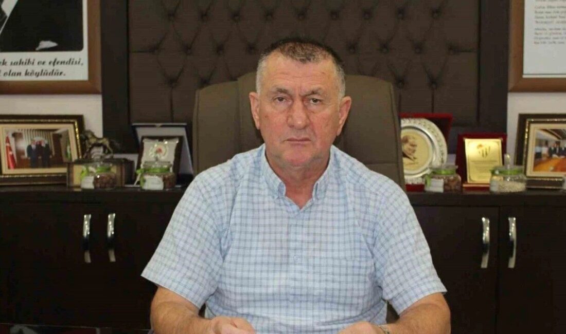 Samsun Çarşamba Ziraat Odası Başkanı Muammer Aydemir, fındık ve kivi