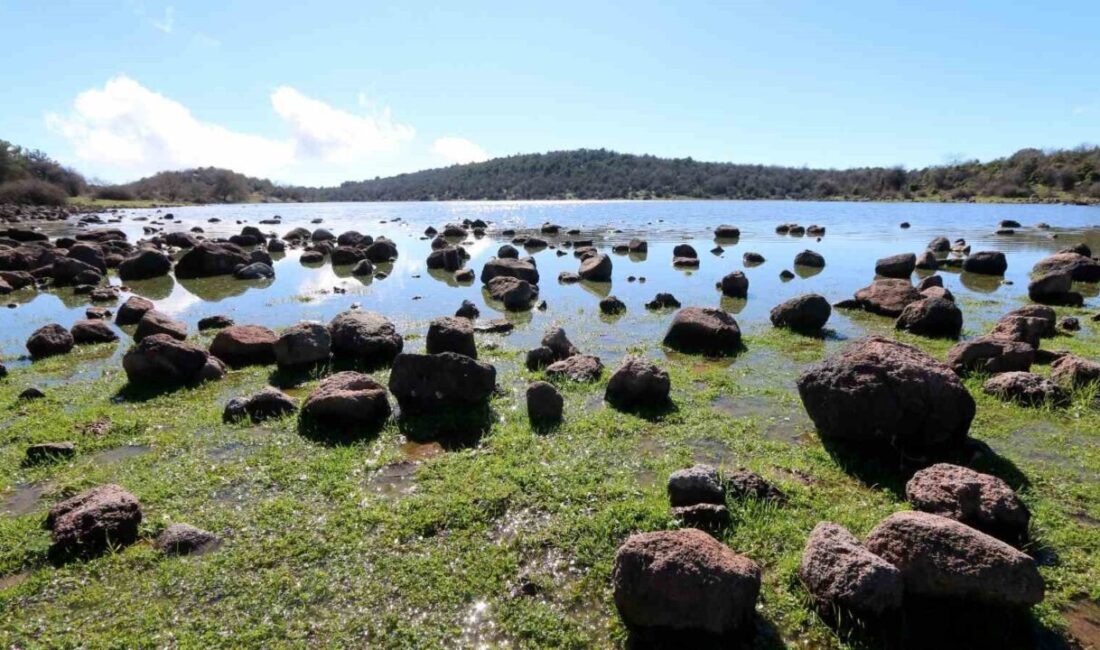 Manisa’nın Saruhanlı ilçesine bağlı Aydınlar Mahallesi sınırlarında bulunan Tepegöl, geçen
