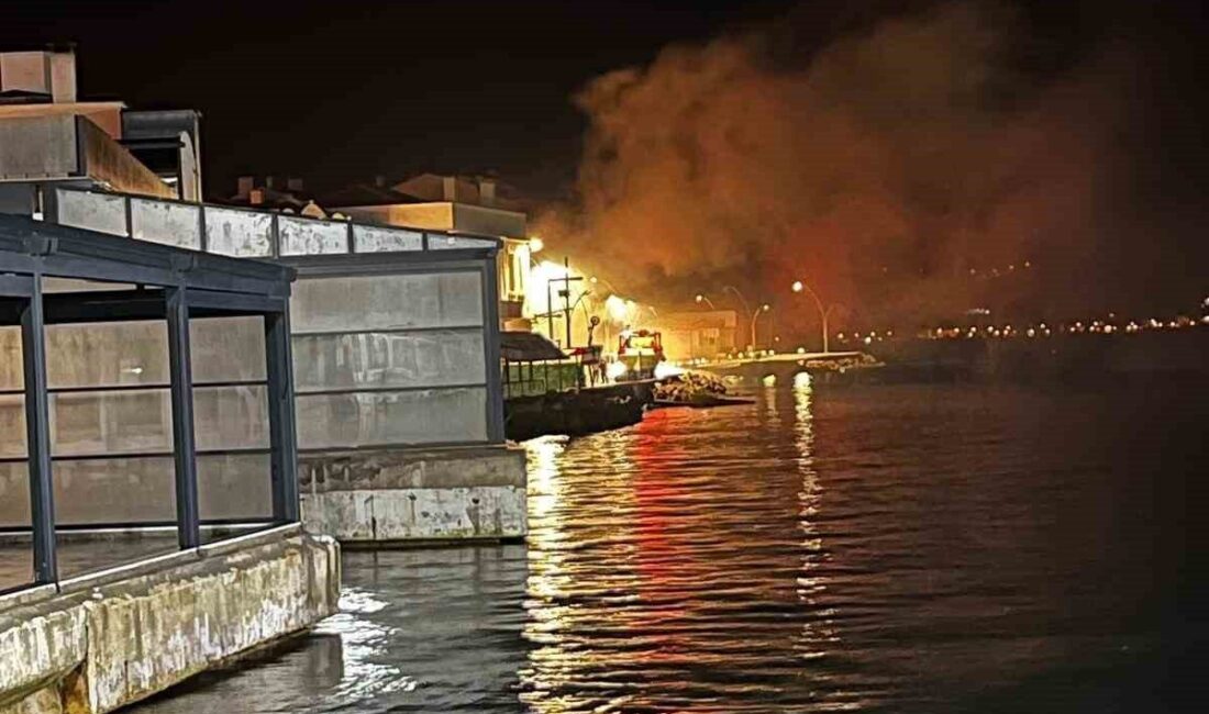 Çanakkale’nin Gelibolu ilçesi kayıkhane mevkiinde gece yarısı çıkan yangın paniğe