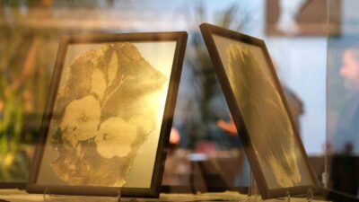 Büyükçekmece’de Sanatçı Ahmet Naim Danışoğlu’nun “Yeniden” adlı fotoğraf sergisi, sanatseverlerle