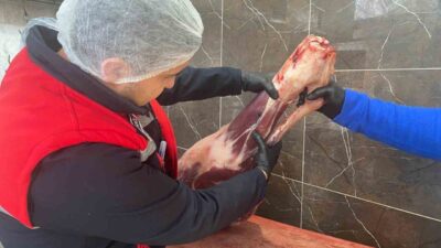 Afyonkarahisar Tarım ve Orman İl Müdürlüğü tarafından güvenilir gıda arzının