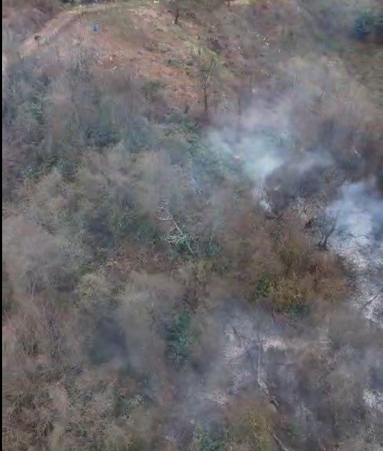 Giresun’un Görele ilçesinde ormanlık alanda çıkan örtü yangınında yaklaşık 1