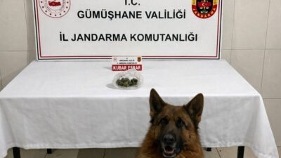 Gümüşhane’nin Kürtün ilçesinde jandarma ekiplerince durdurulan araçta 15 gram kubar