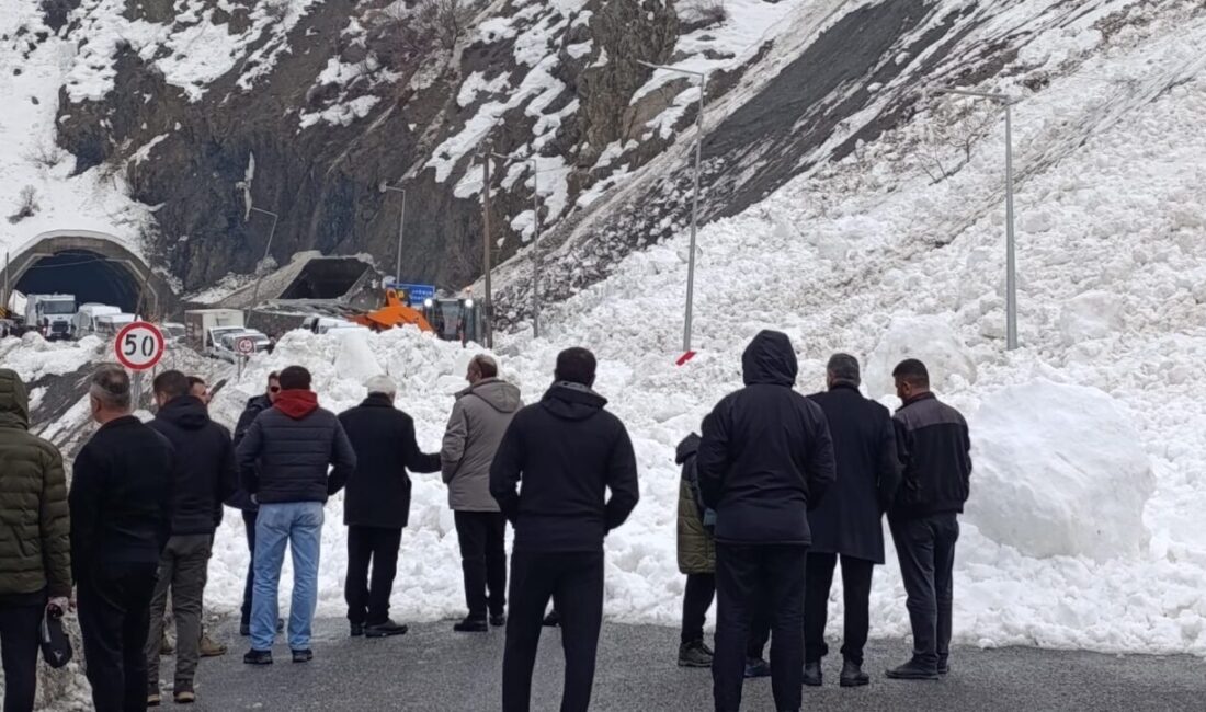 Hakkari-Van kara yoluna çığ düştü. Çığın düşmesiyle birlikte yolda mahsur