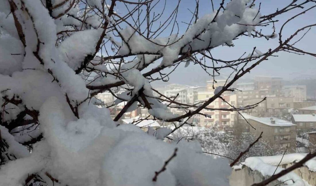 Hakkari’de etkili olan yoğun kar yağışı nedeniyle 144 yerleşim yerinin