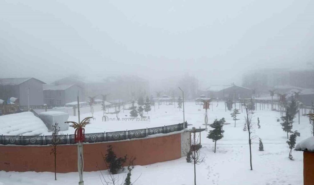 Hakkari’de etkili olan karla karışık yağmur ve sis hayatı olumsuz
