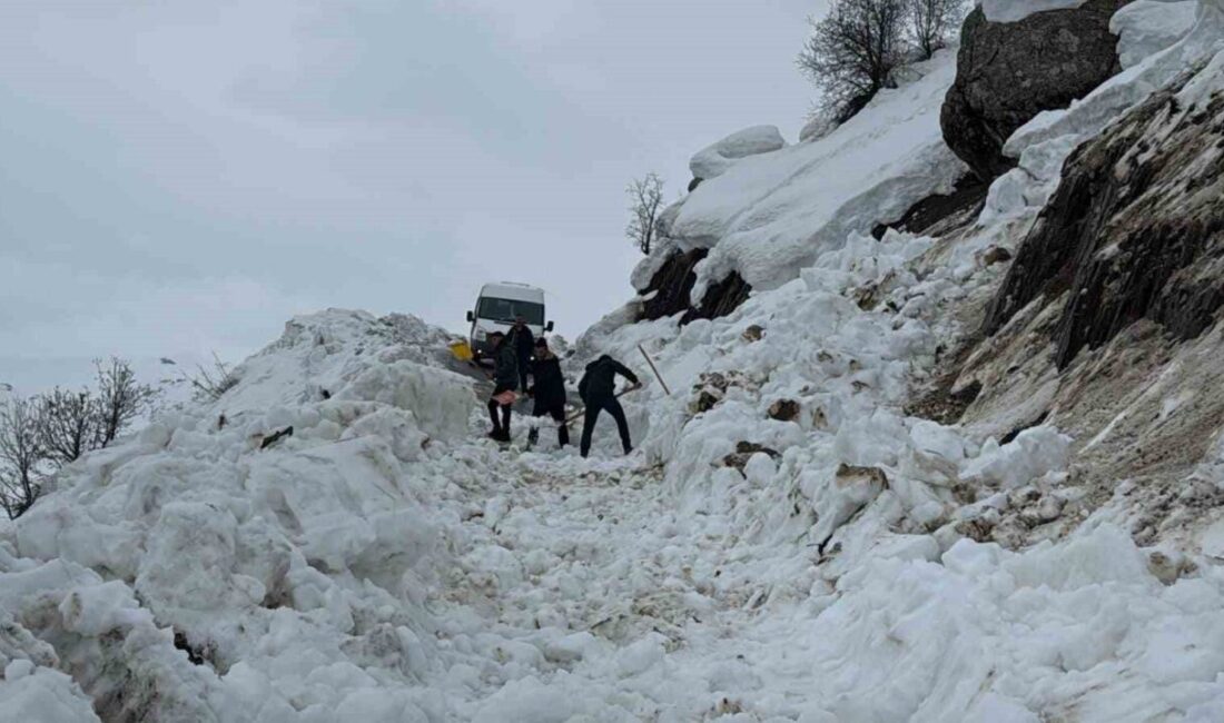 Hakkâri’nin Cevizdibi köyü yolunda öğrenci servisi güzergâhına çığ düştü. Cevizdibi