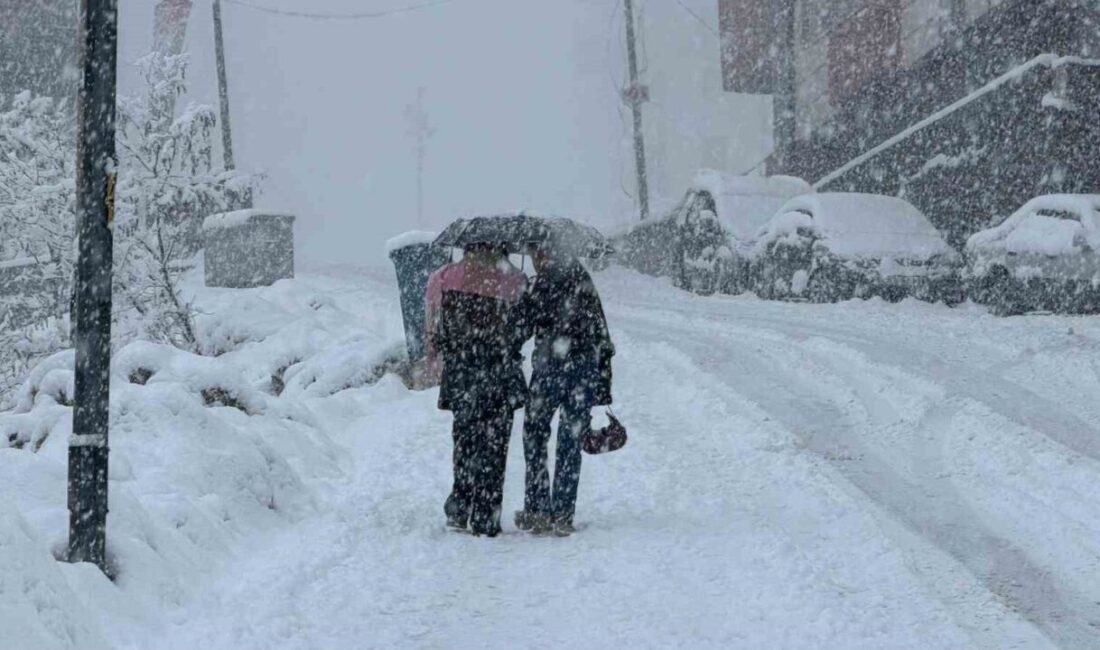 Hakkâri’de etkili olan yoğun kar yağışı nedeniyle 20 köy ve