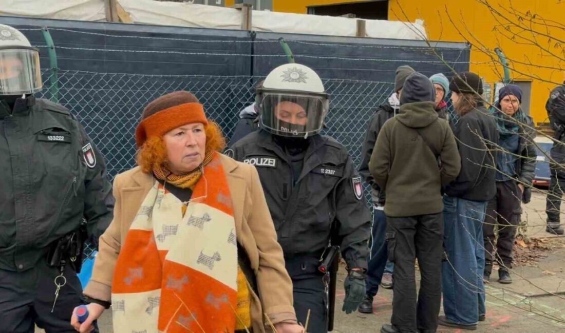 Almanya’nın Hamburg kentinde “Vahşi Orman” olarak bilinen alanda planlanan yapılması