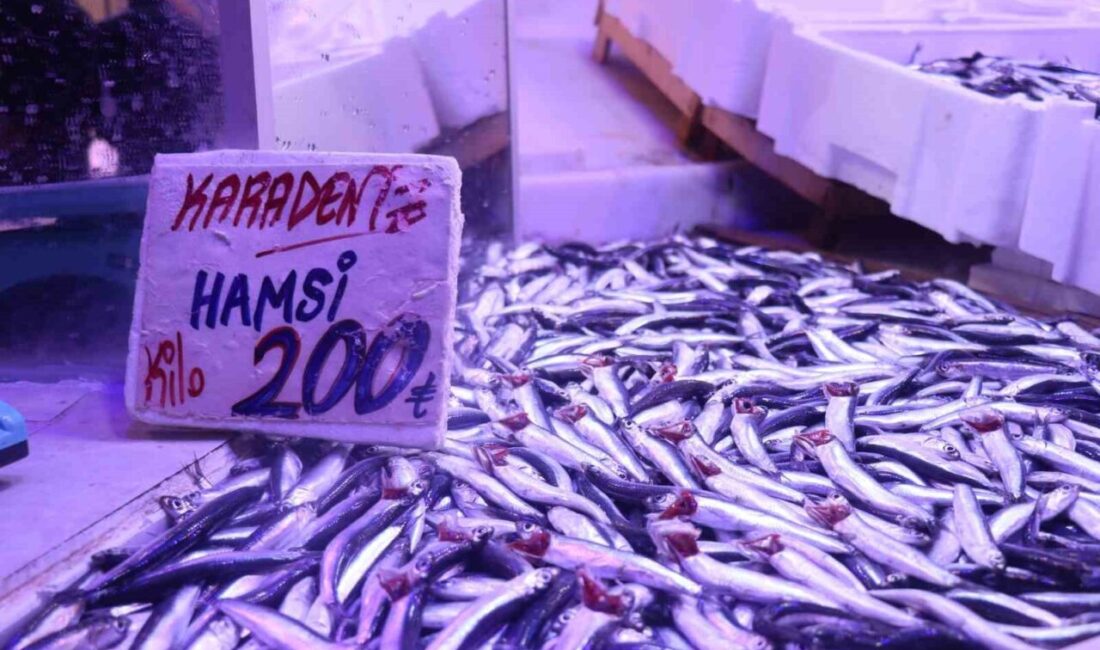 Karadeniz’de bir süredir sıcaklıklar nedeniyle rotasını Gürcistan sularına çeviren hamsi,