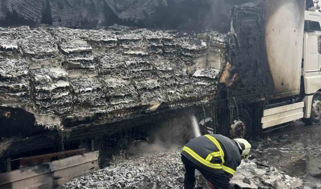Kırklareli’nin Pınarhisar ilçesinde alevlere teslim olan tırın dorsesi kullanılmaz hale