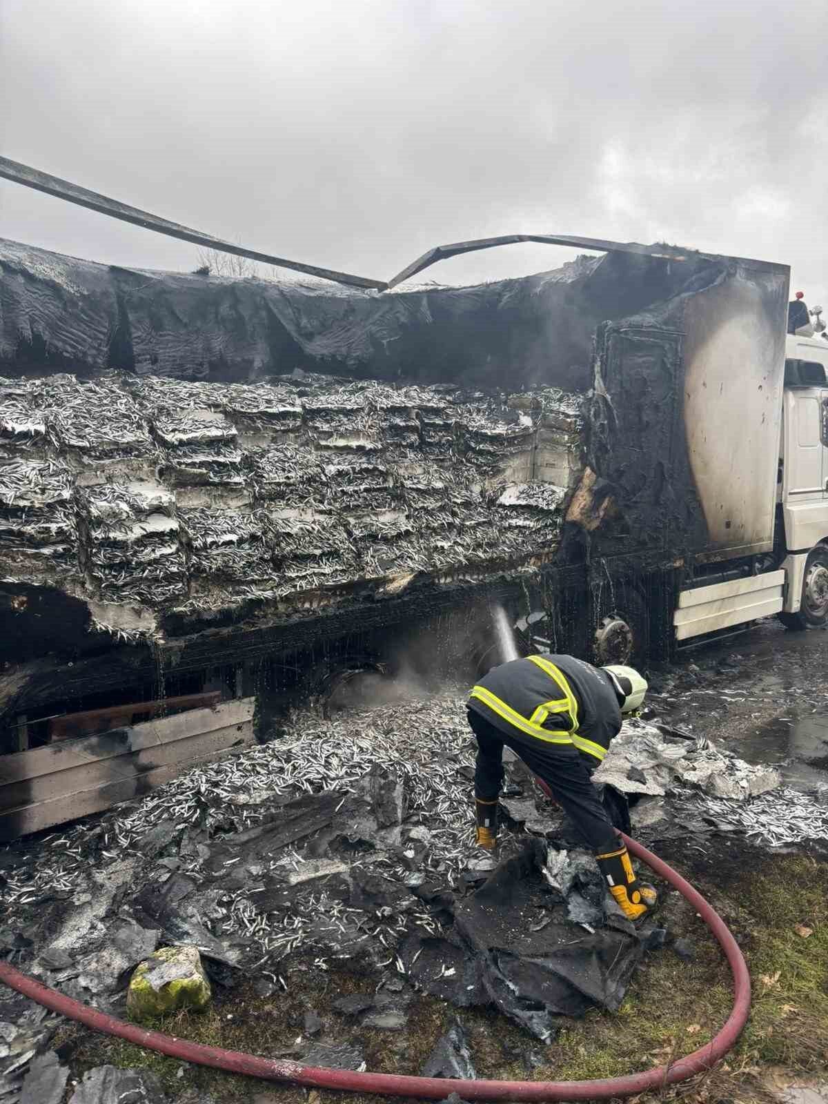 Kırklareli’nin Pınarhisar ilçesinde alevlere teslim olan tırın dorsesi kullanılmaz hale