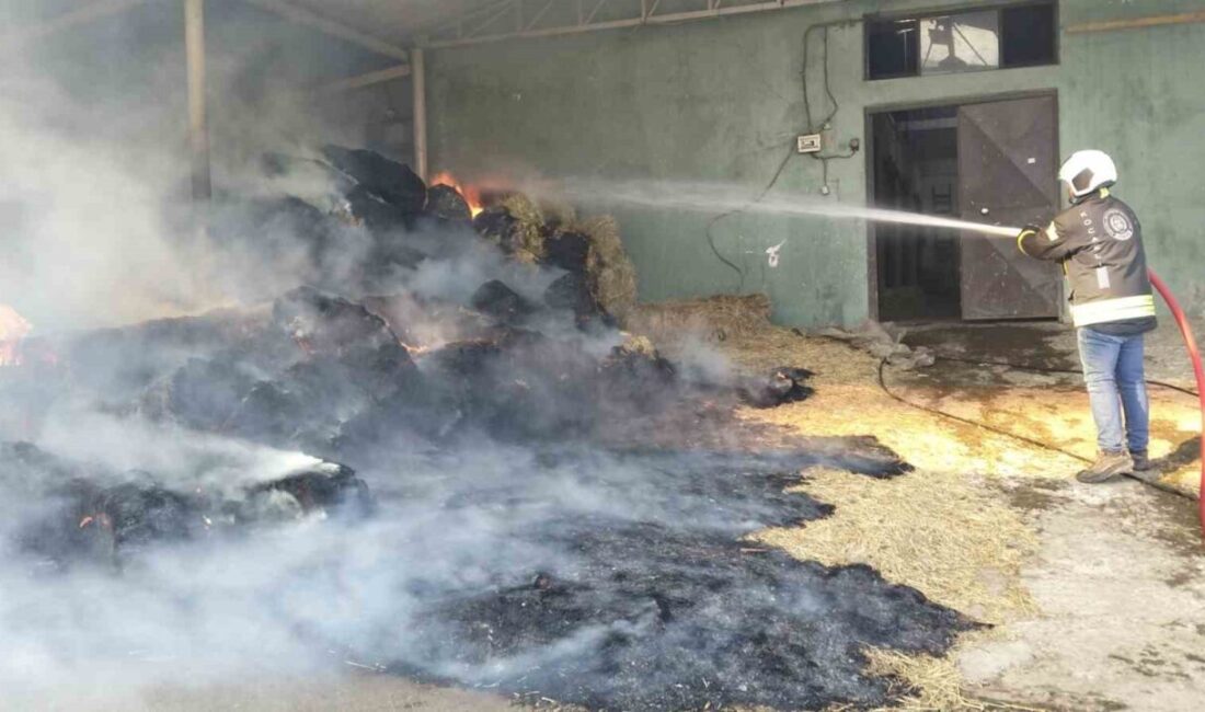 Kocaeli’nin Kartepe ilçesindeki harada çıkan yangında, 70 balya saman zarar