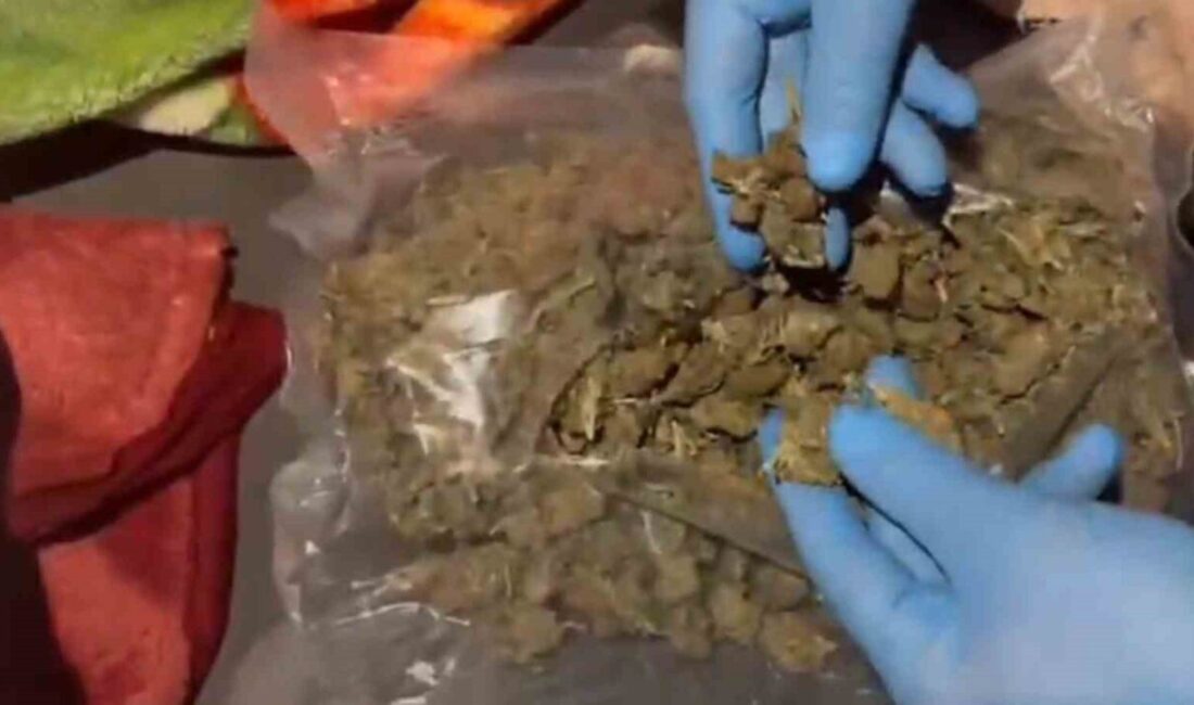 Hatay’ın Payas ilçesinde durdurulan bir tırda yapılan aramada yatak kısmında