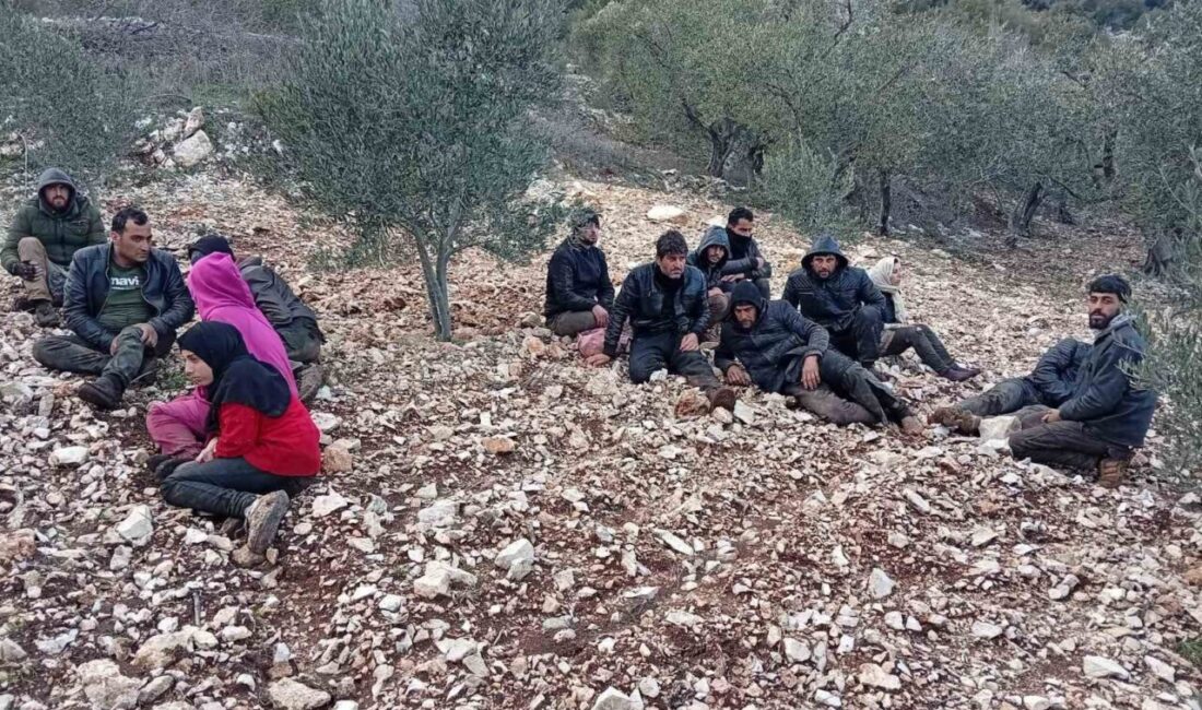 Hatay’da jandarma ekipleri tarafından yapılan çalışmalarda 30 düzensiz göçmen yakalandı.