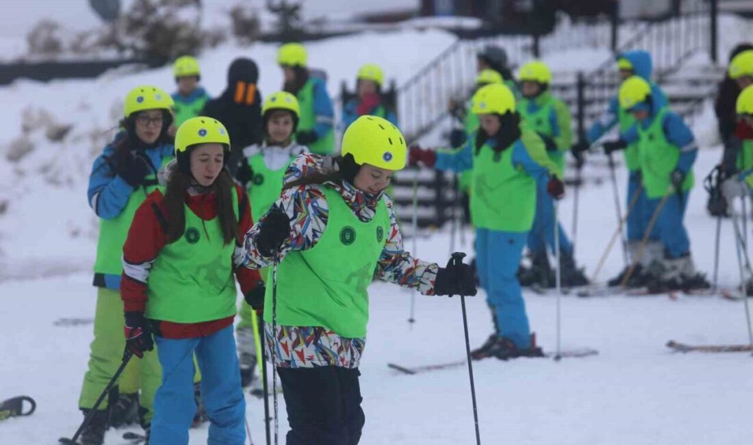 Bursa Büyükşehir Belediyesinin geçen yıl başlattığı ve büyük ilgi gören